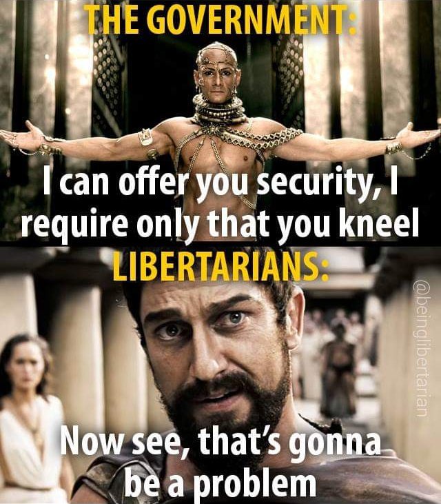 Мем о либертарианцах и правительстве